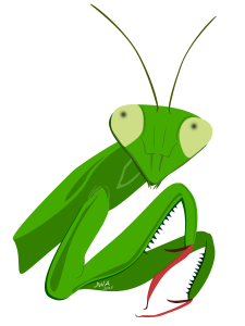 Cartoon_Praying Mantis_1